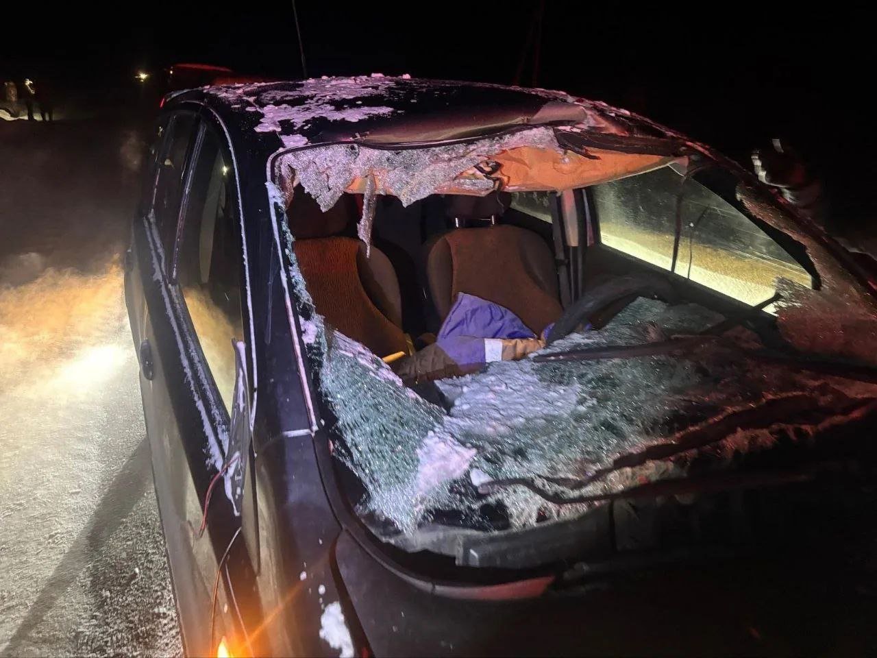 Лось столкнулся с автомобилем в Малопургинском районе Удмуртии