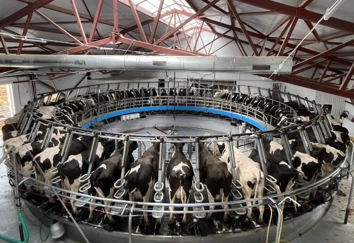 Россети Центр и Приволжье подключили к сети крупный животноводческий объект в Удмуртии