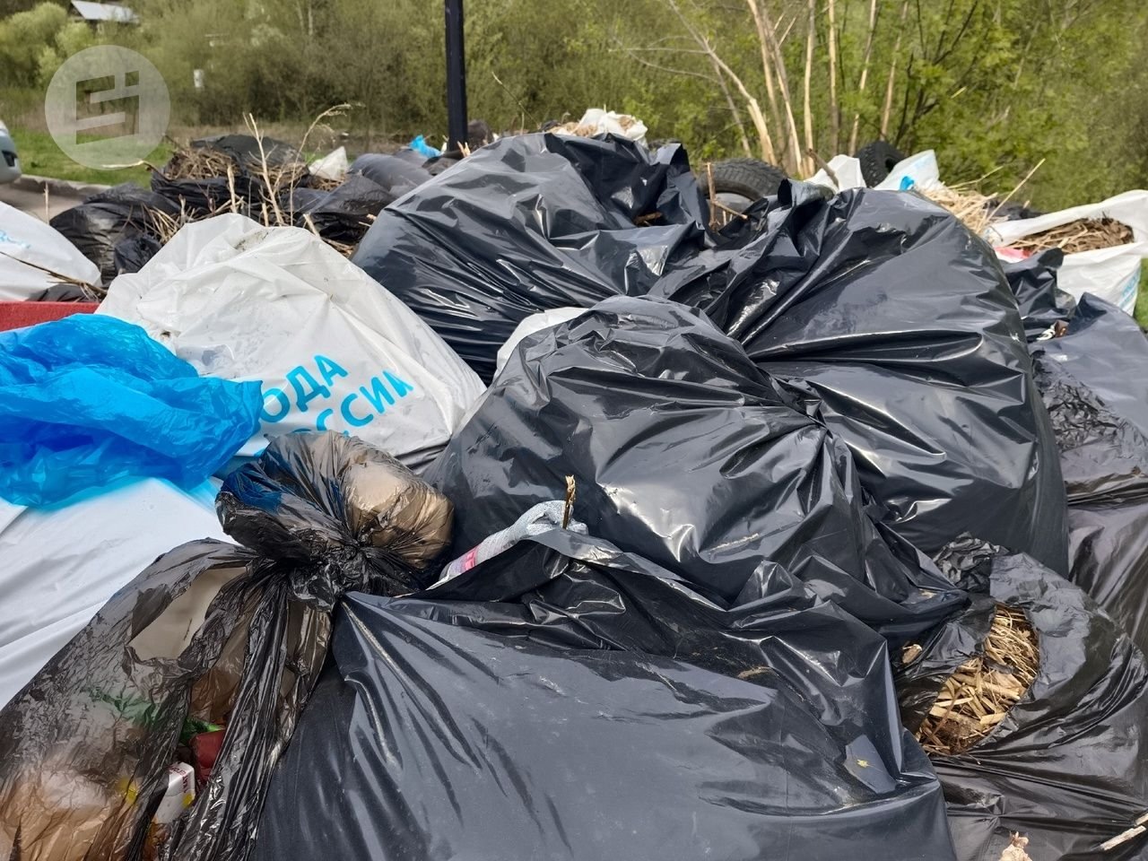 Суд обязал администрацию Балезинского района организовать регулярную уборку контейнерных площадок