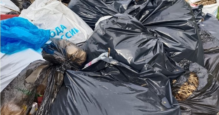 Суд обязал администрацию Балезинского района организовать регулярную уборку контейнерных площадок