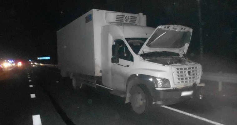 Пьяный водитель устроил смертельное ДТП на трассе в Удмуртии