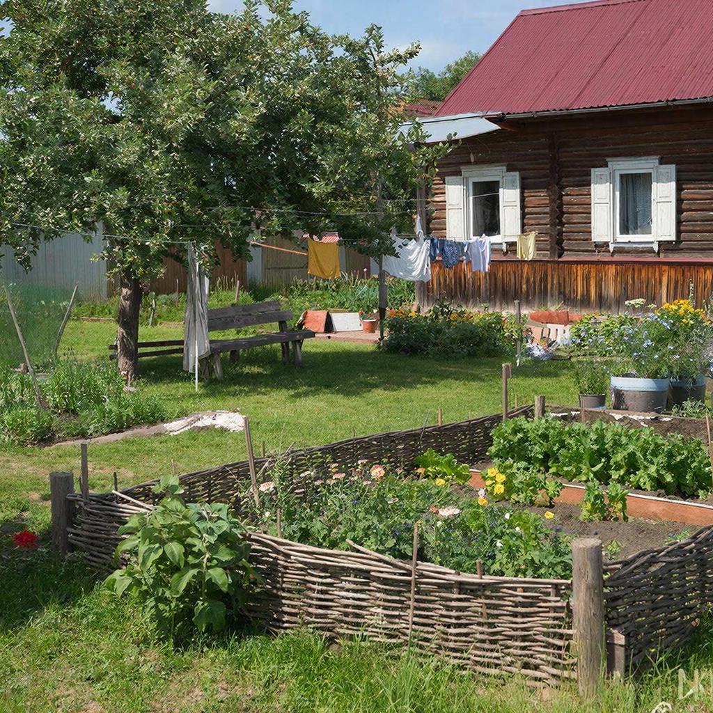 Жителям Удмуртии рассказали, как ускорить набухание почек у отстающих в развитии дачных деревьев