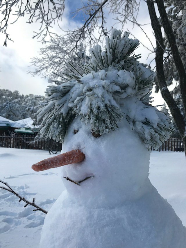 Новый формат: традиционный Фестиваль снеговиков пройдет в Ижевске 