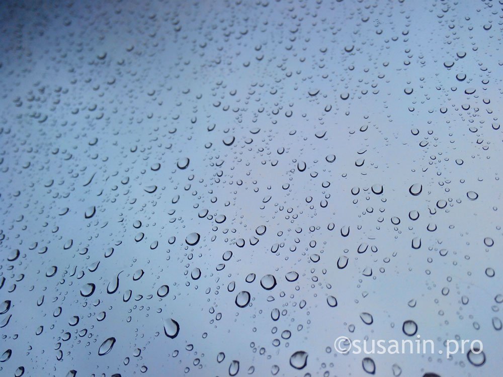 

Вторая неделя сентября в Удмуртии останется дождливой и прохладной

