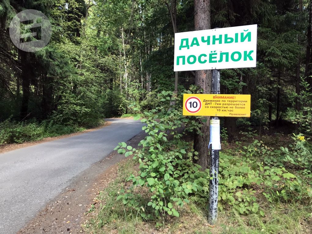 Большинство детей из Ижевска летом будет отдыхать на даче