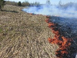 Почти 10 га сельхозземли охватил огонь в Завьяловском районе