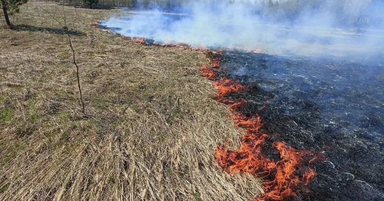 Почти 10 га сельхозземли охватил огонь в Завьяловском районе