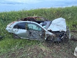 В Сарапульском районе водитель сбил лося и погиб в ДТП