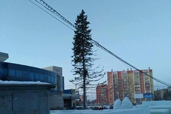 Главная елка Копейска облысела еще до украшения
