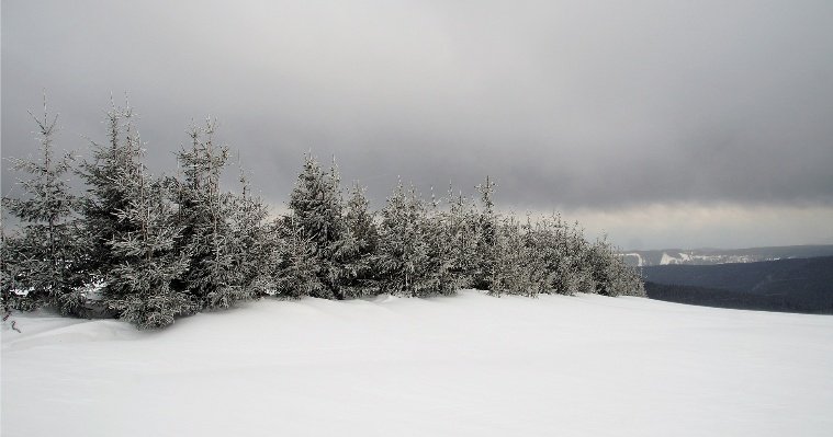 Облачную погоду с небольшим снегом обещают в Удмуртии 9 февраля