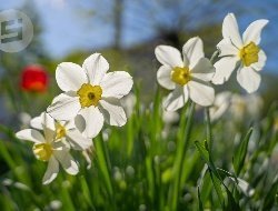 До +22 градусов потеплеет в Удмуртии 16 мая