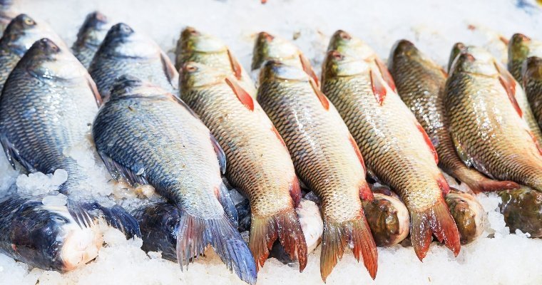 Более 100 кг опасной рыбной продукции уничтожили в Ижевске