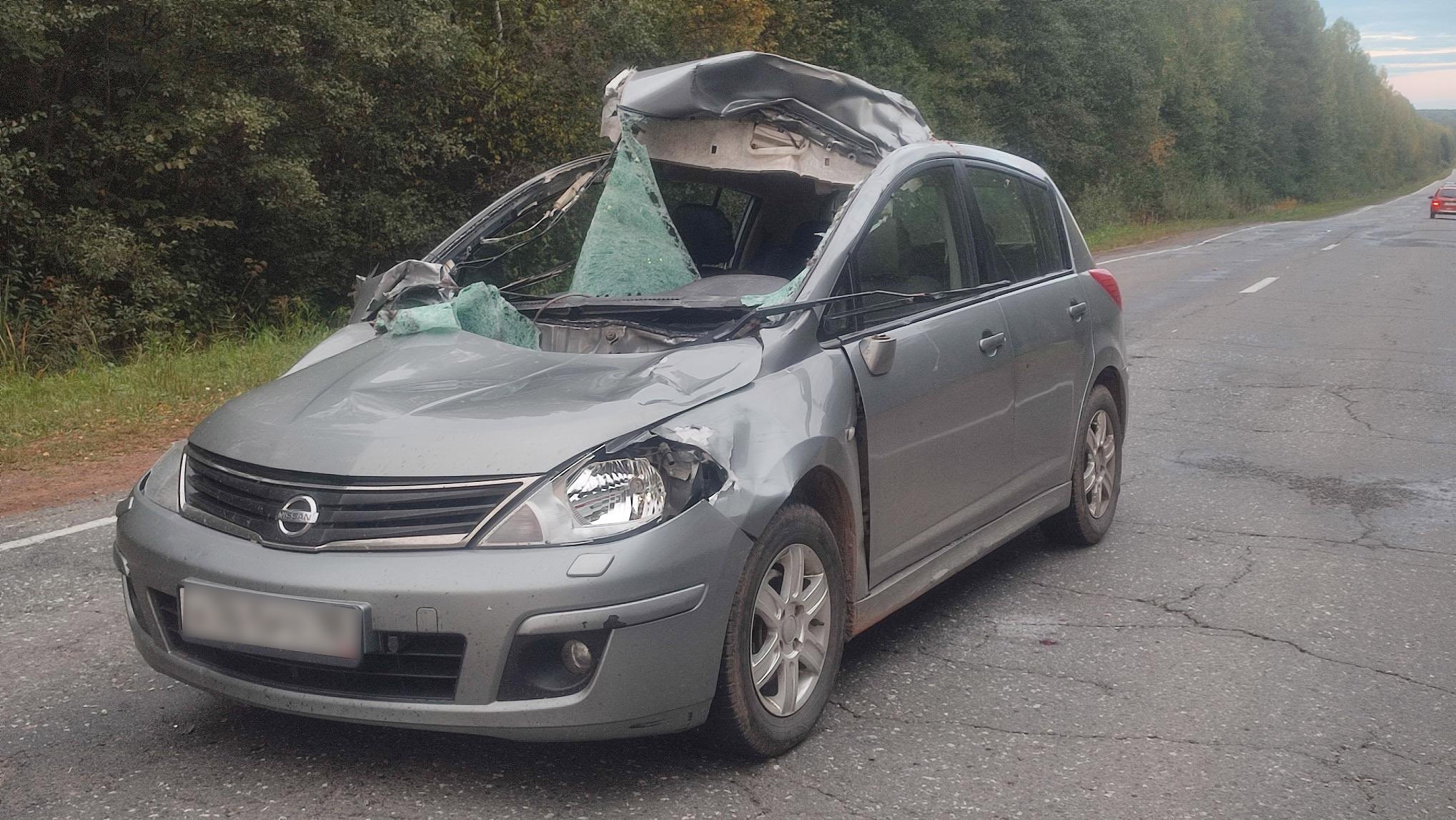 Двое человек пострадали в столкновении автомобиля с лосём на трассе Ижевск-Ува