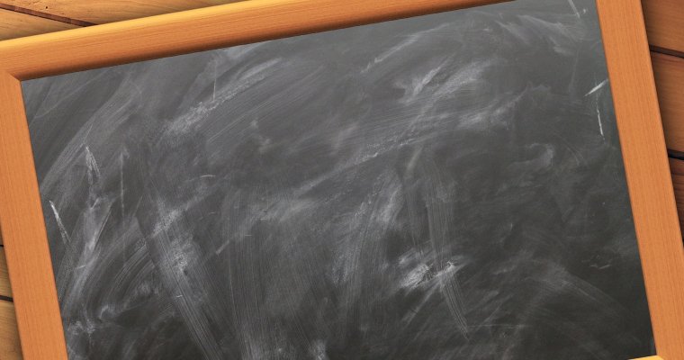 Директор лицея в Ижевске тратила благотворительную помощь на свои командировки