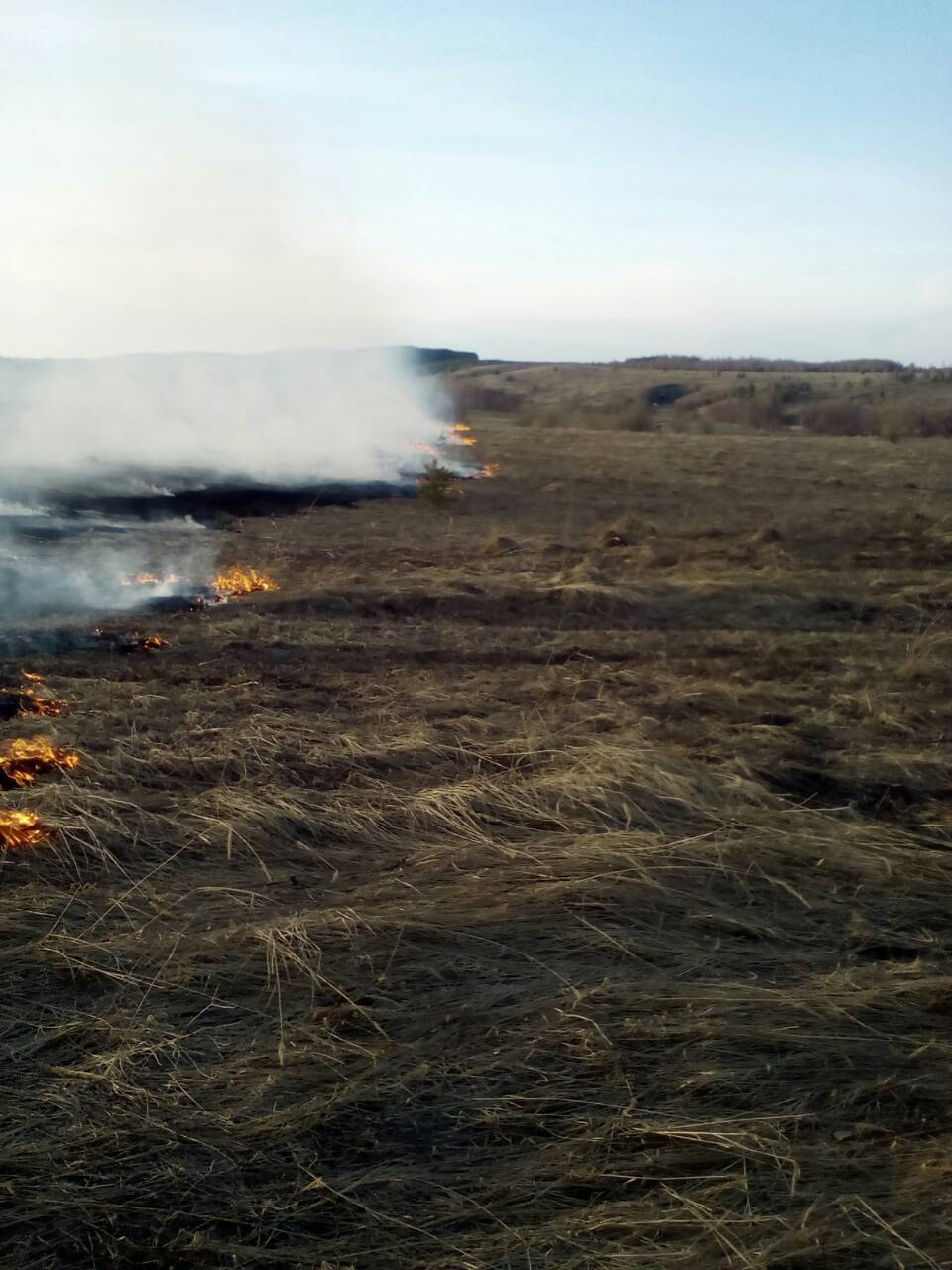 8 га сухой травы сгорело в Каракулинском районе