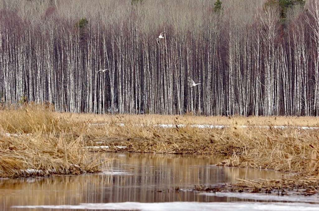 Абсолютный рекорд по теплу был поставлен в Ижевске 25 ноября