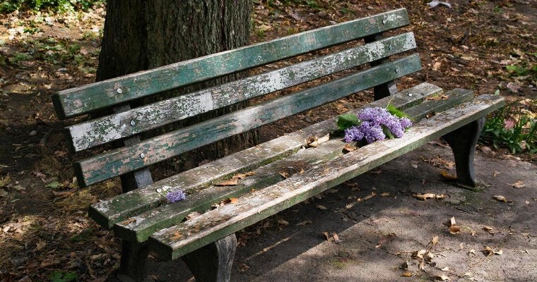 Осуждённых Удмуртии решили привлечь к ремонту уличных скамеек 