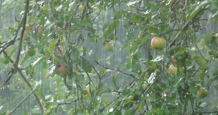 Продолжительные дожди и усиление ветра: какая погода ждет Удмуртию 1 августа