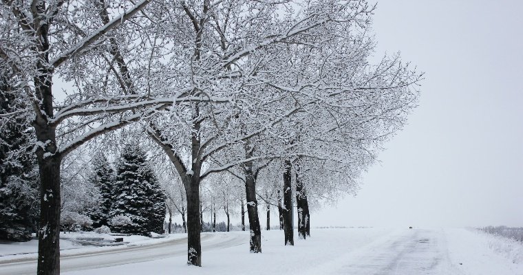 Небольшой снег выпадет в Удмуртии 29 декабря