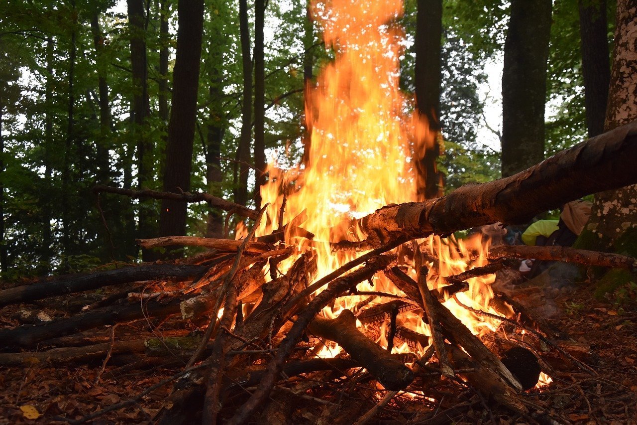 

Опасность лесных пожаров в Удмуртии, проверки аттракционов на Алтае и захват солдатами НАТО завода в Болгарии: что произошло минувшей ночью

