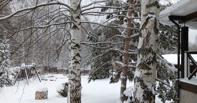22 декабря в Удмуртии пройдёт снег