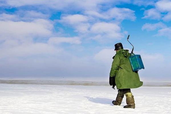 Зацепившийся удочкой за провода рыбак погиб в Нижегородской области