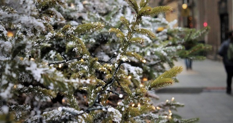 Коронавирус оставил москвичей без новогодних елок