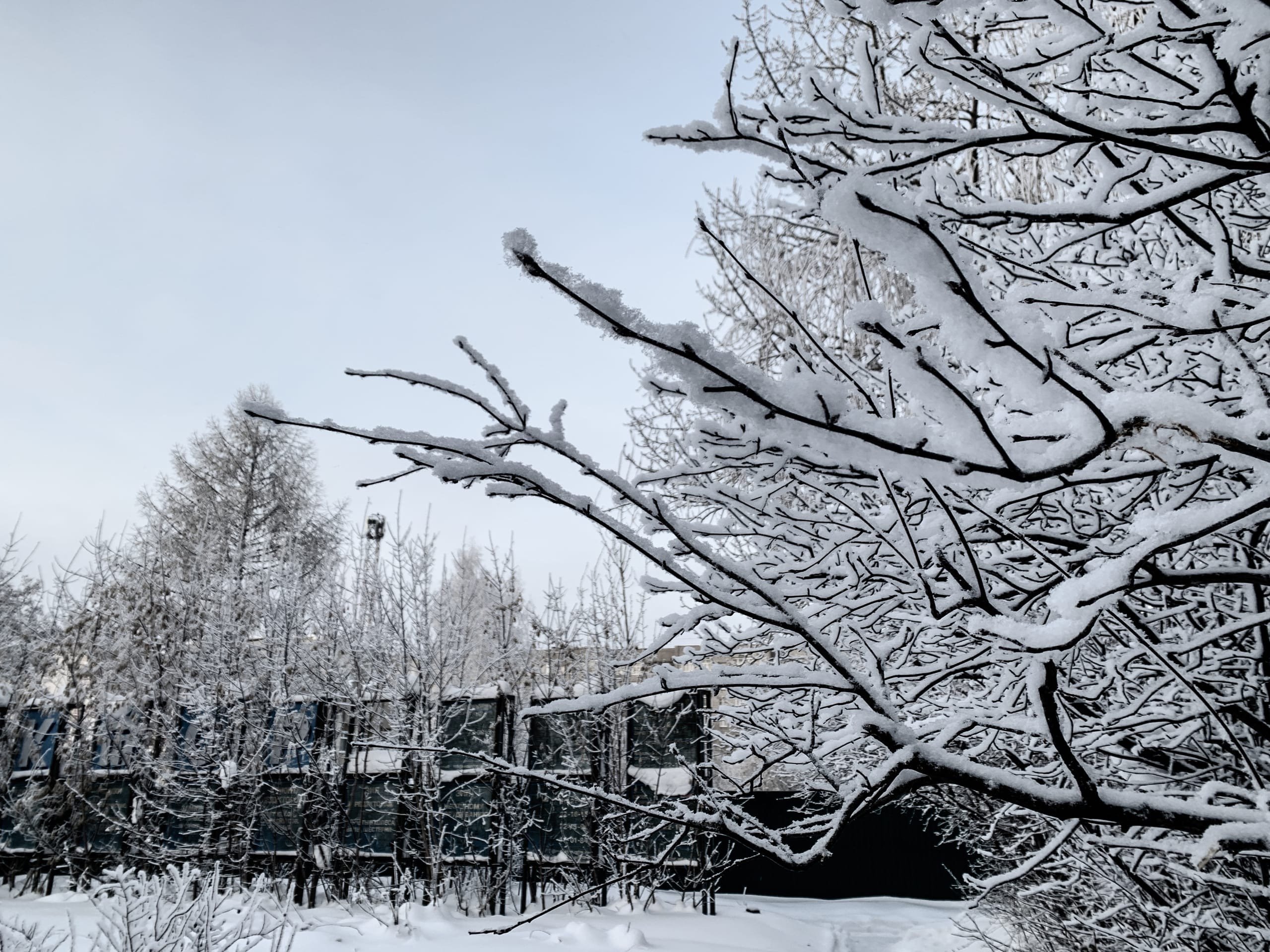 Последние выходные февраля в Удмуртии будут снежными