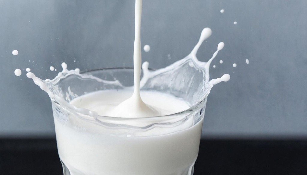 В Удмуртии рассказали о состоянии молочного рынка в регионе после падения цен на сырое молоко