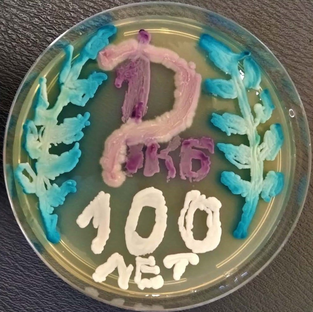 Сотрудники лаборатории в 1-й РКБ Удмуртии вырастили «иллюстрацию» из бактерий