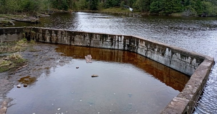 В пруду в деревне Русский Вожой для сохранности ГТС сбросили уровень воды