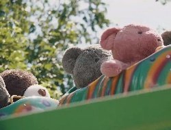 В Летнем саду Ижевска в отсутствие посетителей катают на каруселях медведей