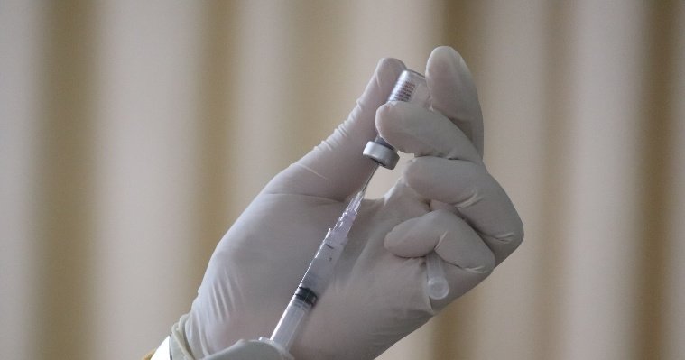 В северных районах Удмуртии планируется масштабная вакцинация скота против узелкового дерматита