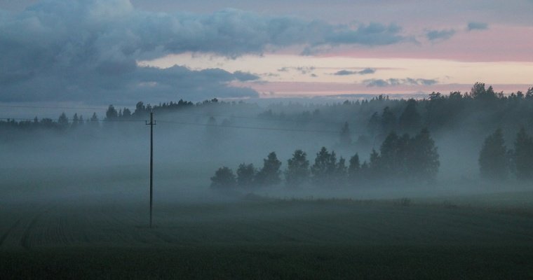 Туман ожидается в Удмуртии в ночь на понедельник