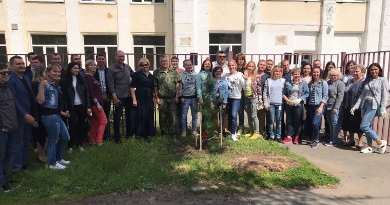 Кедровая аллея появилась у Школы юных летчиков в Ижевске