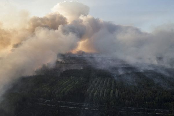 Серьезное превышение радиационного фона отметили в Чернобыле на месте пожара
