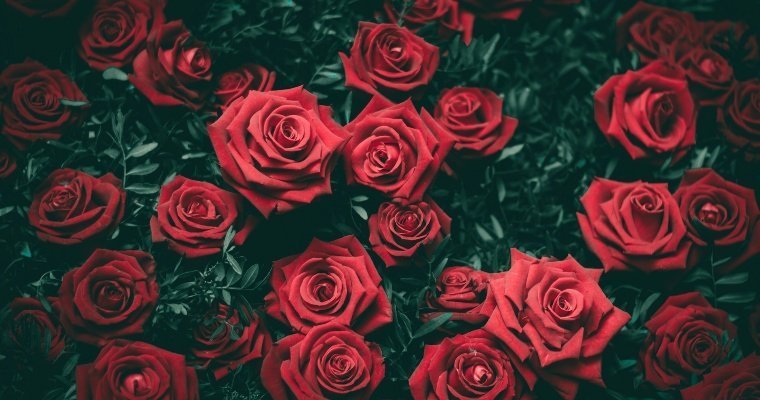 Суд вынес вердикт по делу о воровстве школьником букета из 101 розы в Сарапуле