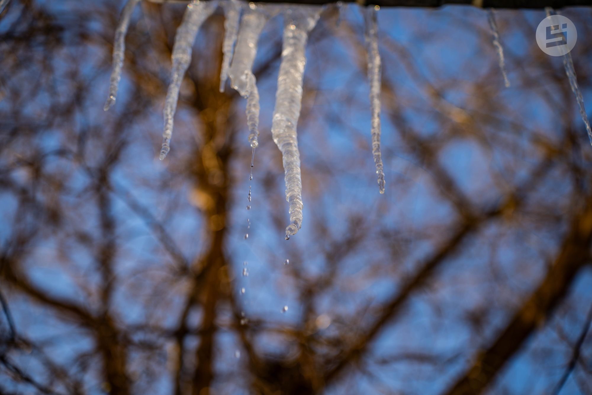 Картина дня: первые плюсовые температуры в Удмуртии и срок окончания слияния ижевских поликлиник