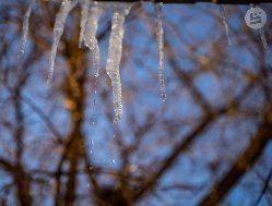 Картина дня: первые плюсовые температуры в Удмуртии и срок окончания слияния ижевских поликлиник