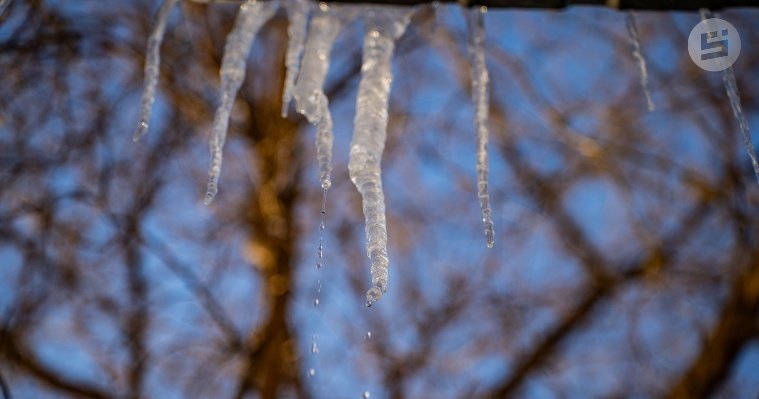 Картина дня: первые плюсовые температуры в Удмуртии и срок окончания слияния ижевских поликлиник