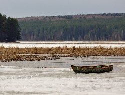 В Ярском районе Удмуртии из-за паводка организовали лодочную переправу