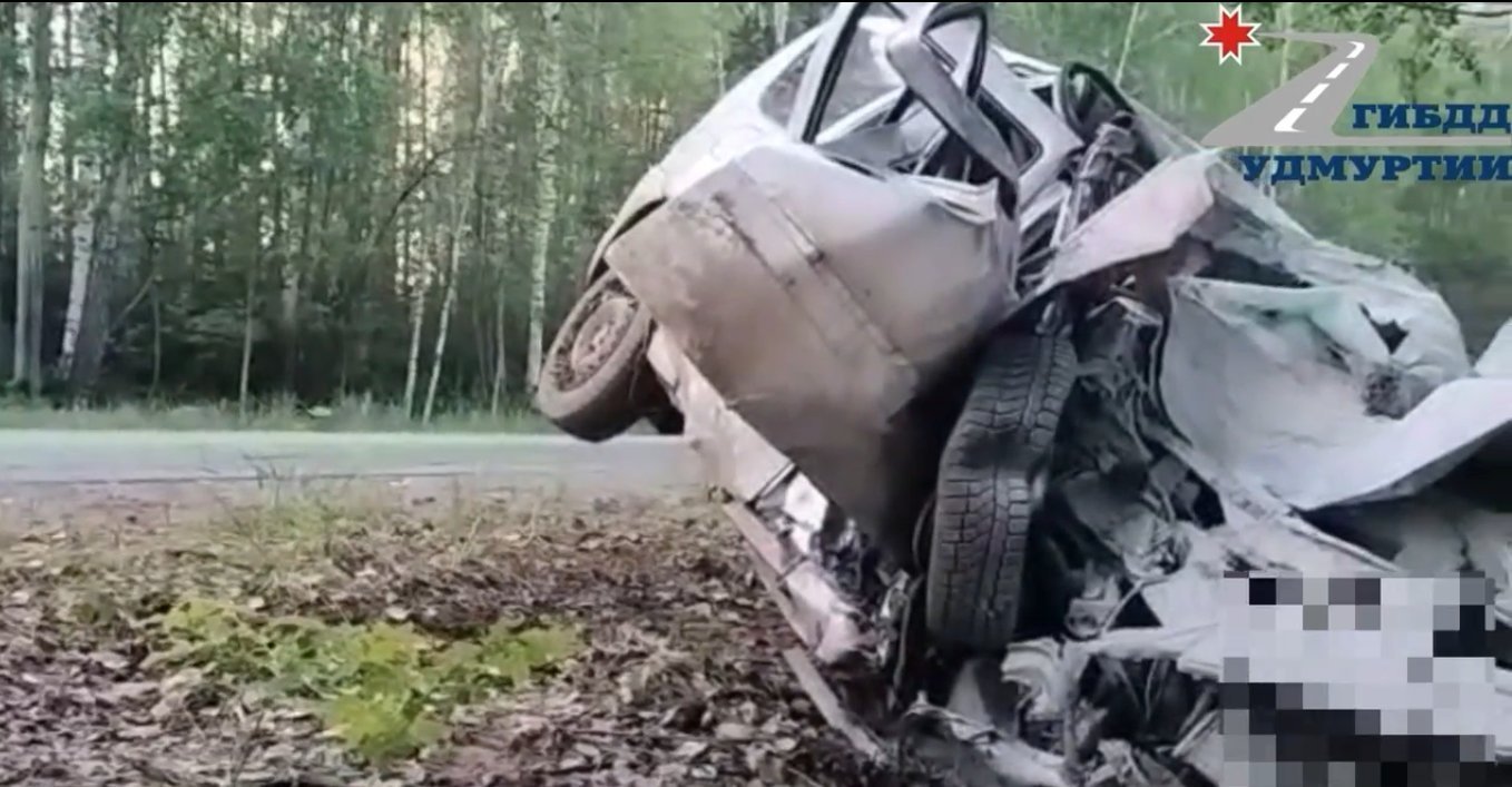 В Удмуртии пассажир Ларгуса погиб в результате удара автомобиля о дерево