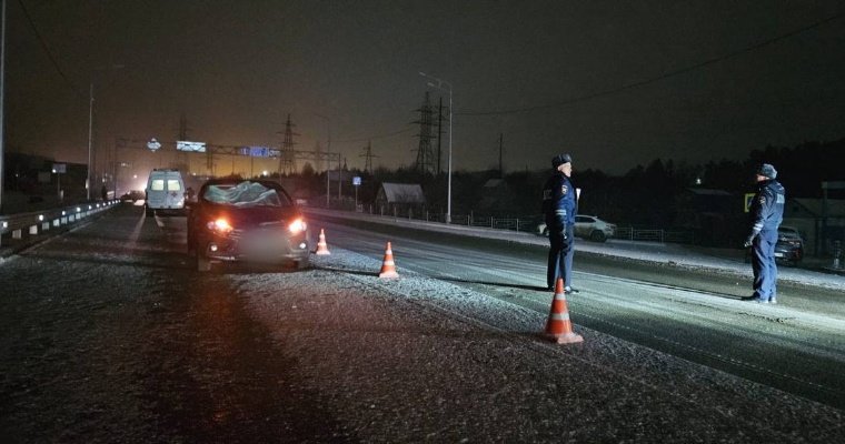 В Сарапульском районе пешеход погиб на дороге