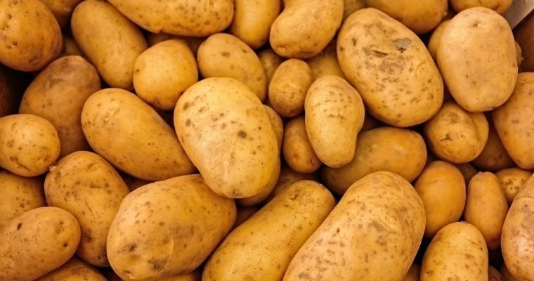 Цены на картофель в России упали за месяц почти на 30% 	