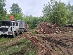 Вывоз мусора в Воткинске и десятикратный рост не сдавших русский язык мигрантов: новости к этому часу