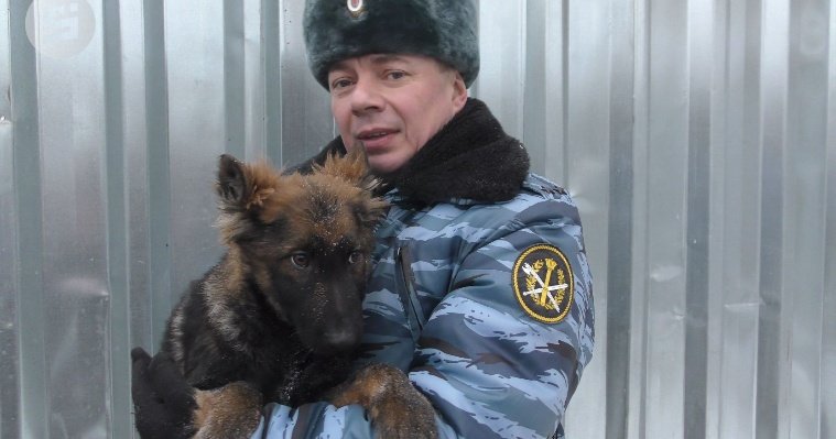 Восемь щенков поступят на службу в учреждения УФСИН России по Удмуртии 