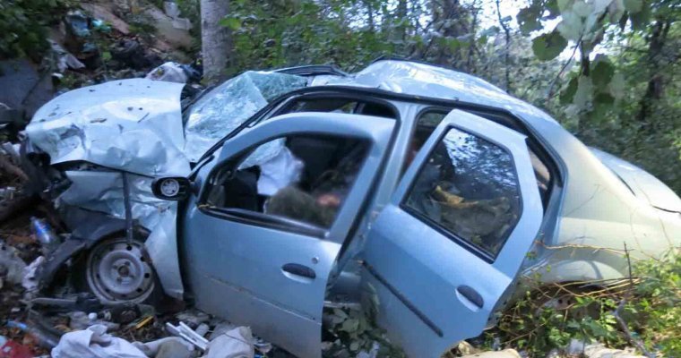 Врезался в дерево: водитель иномарки в Удмуртии погиб после съезда с дороги