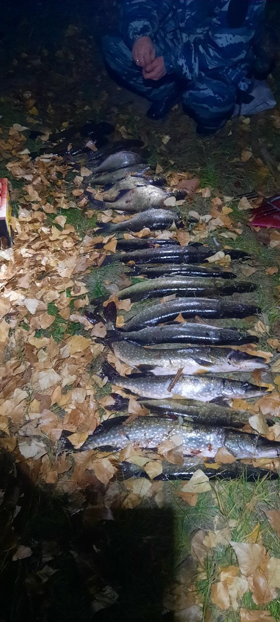 В Удмуртии задержали двух жителей Воткинска за ловлю рыбы с помощью остроги