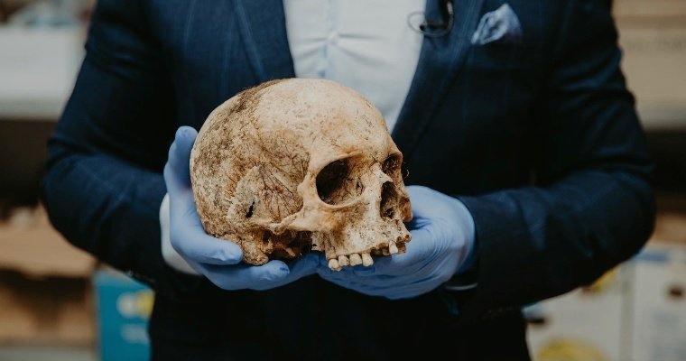 Три черепа и кости нашли на месте бывшей деревни в Увинском районе