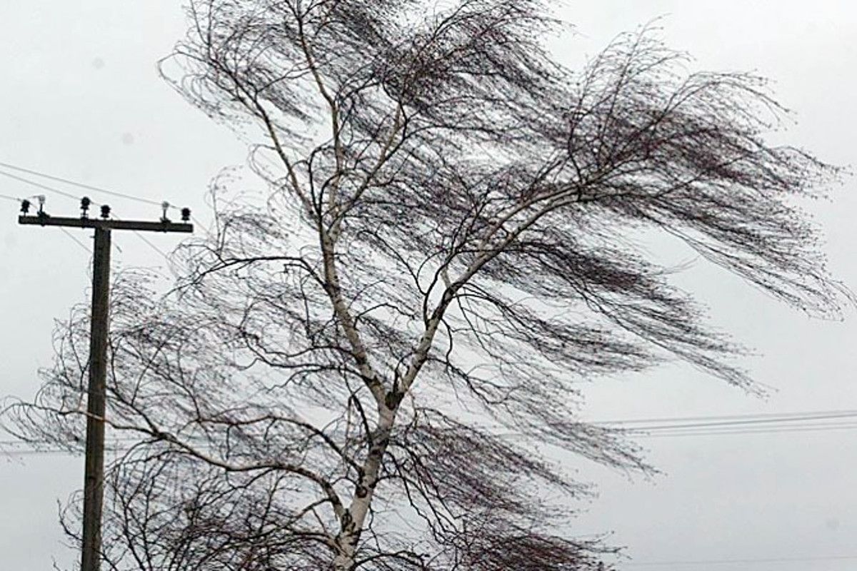 МЧС предупредило о сильном ветре в понедельник в Удмуртии